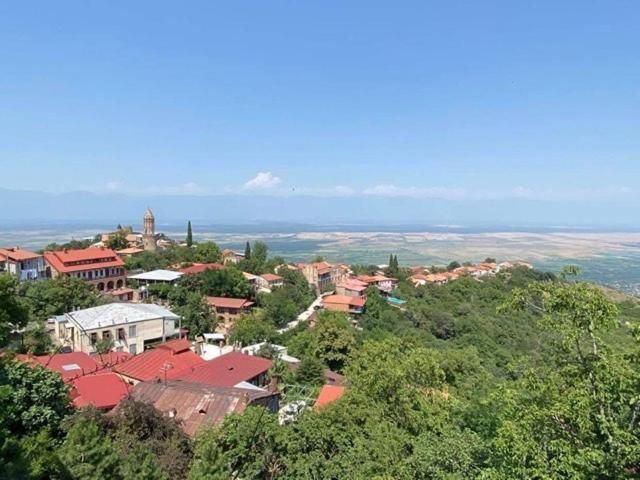 Dzveli Ubani Hotel Сигнахи Екстериор снимка